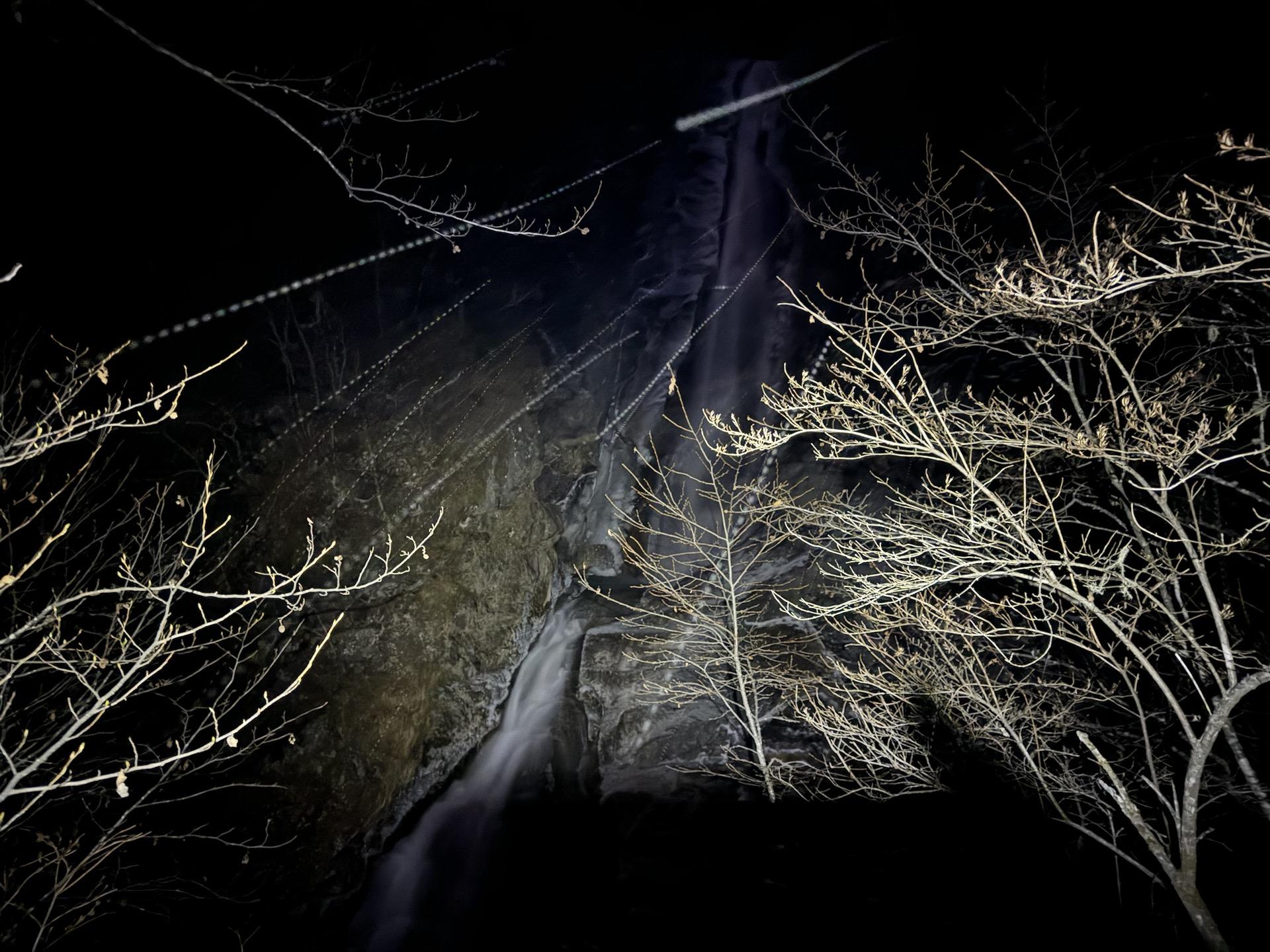 蔵にあった大型の青磁桐鳳凰文水盤 蔵にあった大型