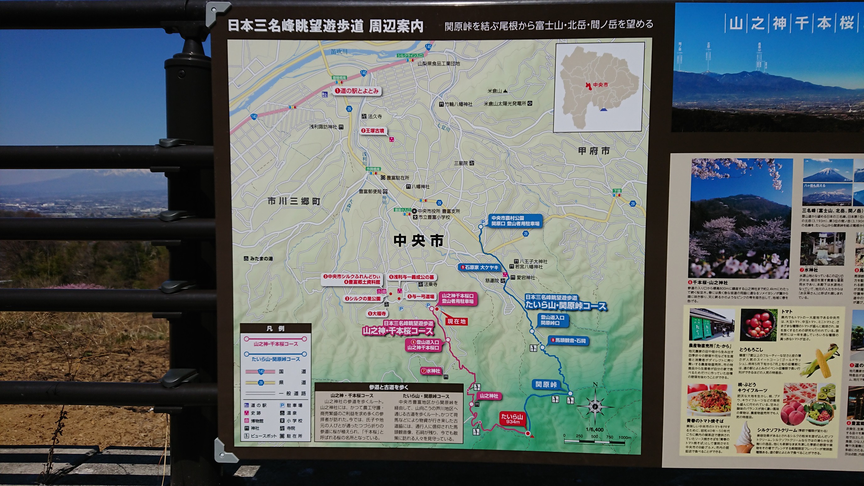 たいら山 山の神千本桜 Mt 8ninさんの甲府市の活動日記 Yamap ヤマップ