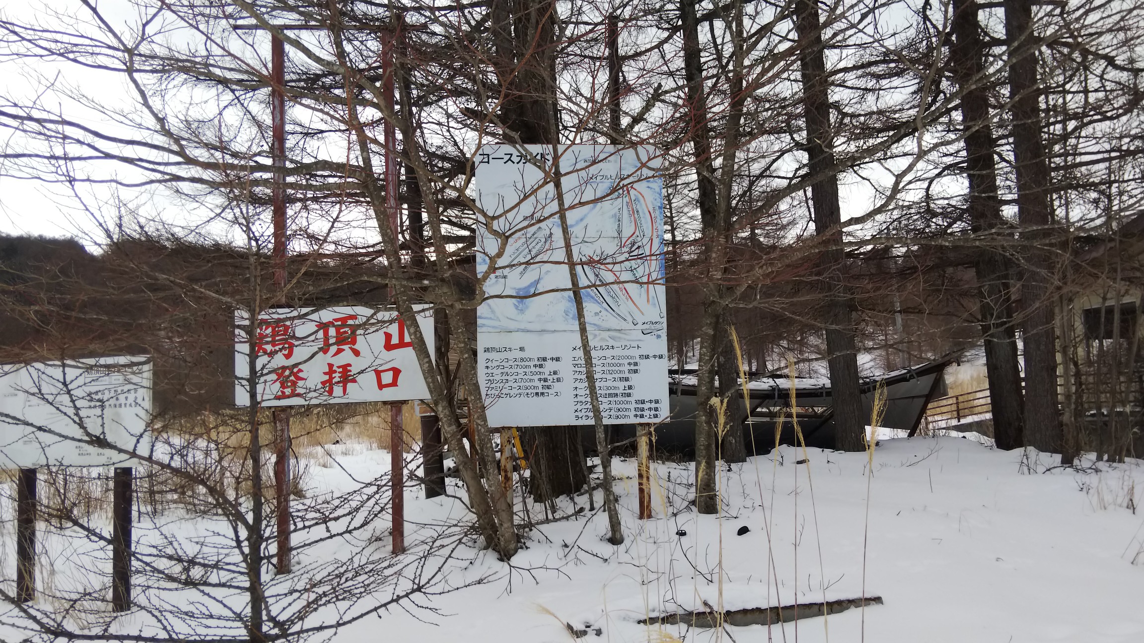 さて～登って行きます