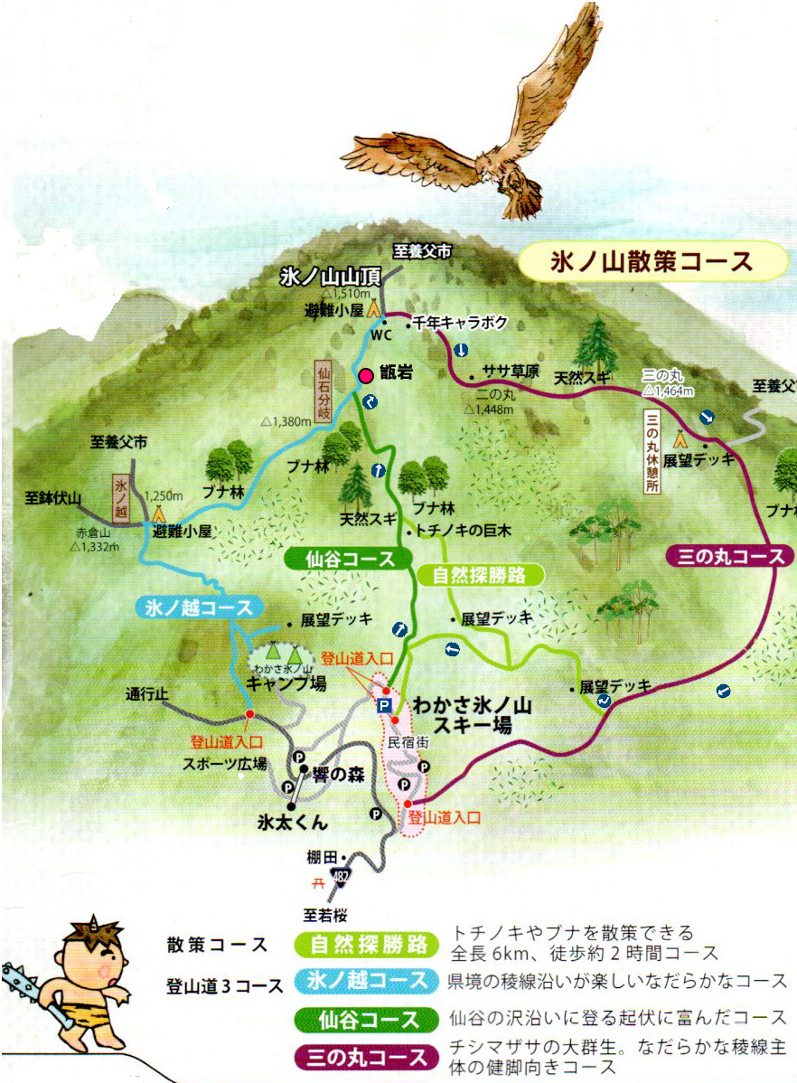 氷ノ山 仙谷 三の丸コース 花と避暑 日野家の山歩きさんの氷ノ山 須賀ノ山 鉢伏山 瀞川山の活動日記 Yamap ヤマップ