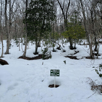 蘇武岳 一合目→二合目は二手に分かれる。左回りで行くことに