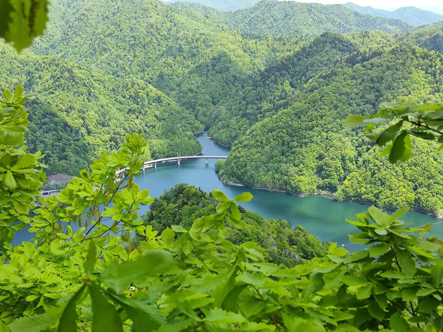 小天狗岳 往復コースの地図・登山ルート・登山口情報 | YAMAP 小天狗岳 往復コースの地図・登山ルート・登山口情報 | YAMAP