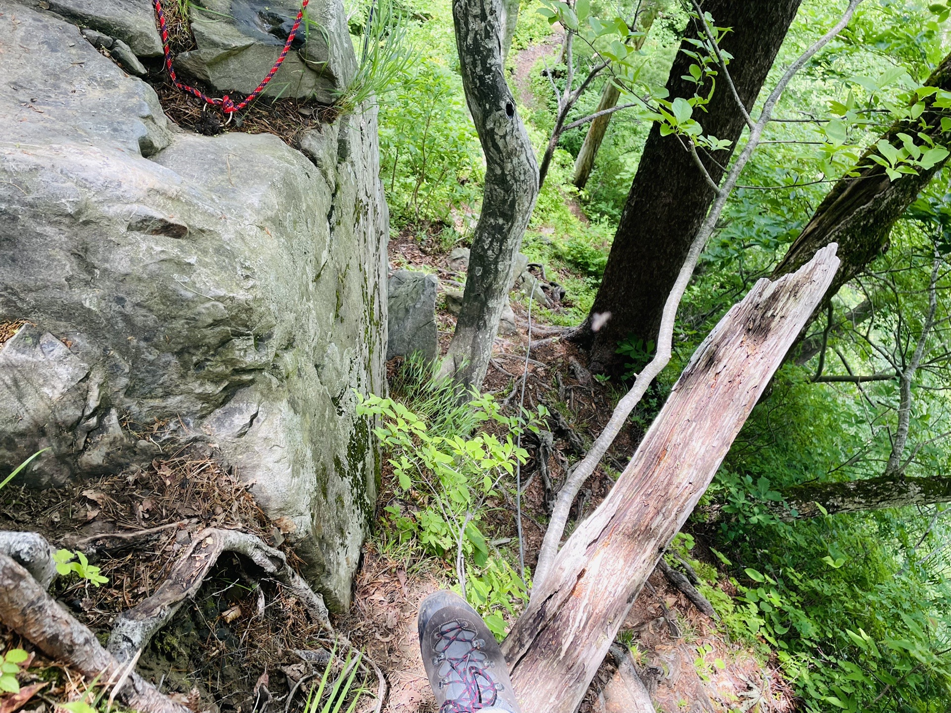 何なのこの岩場((((；ﾟДﾟ)))))))