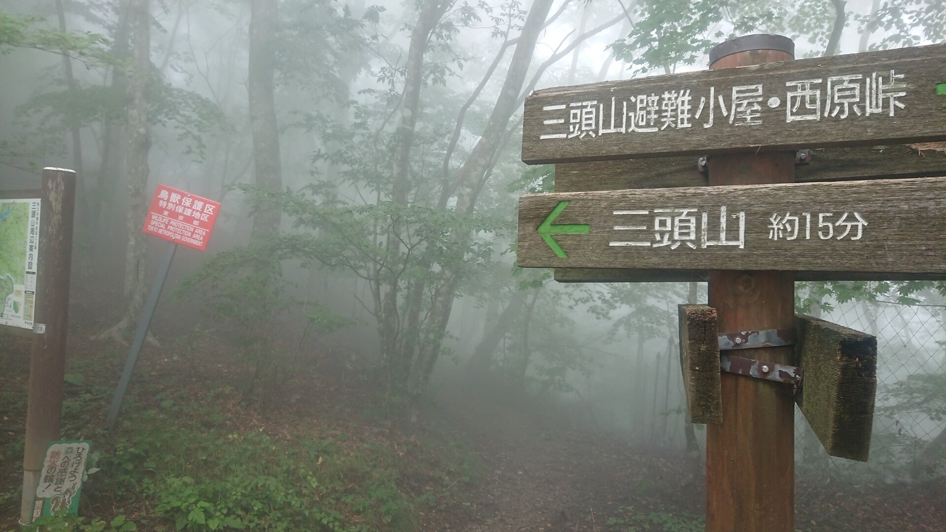 逢ったのはムササビとヤマドリ 行ってみた ハセツネcupのコース後半含め計37km 19 09 12 Erikさんのハセツネ Cup 日本山岳耐久レース 71 5kmコース の活動日記 Yamap ヤマップ