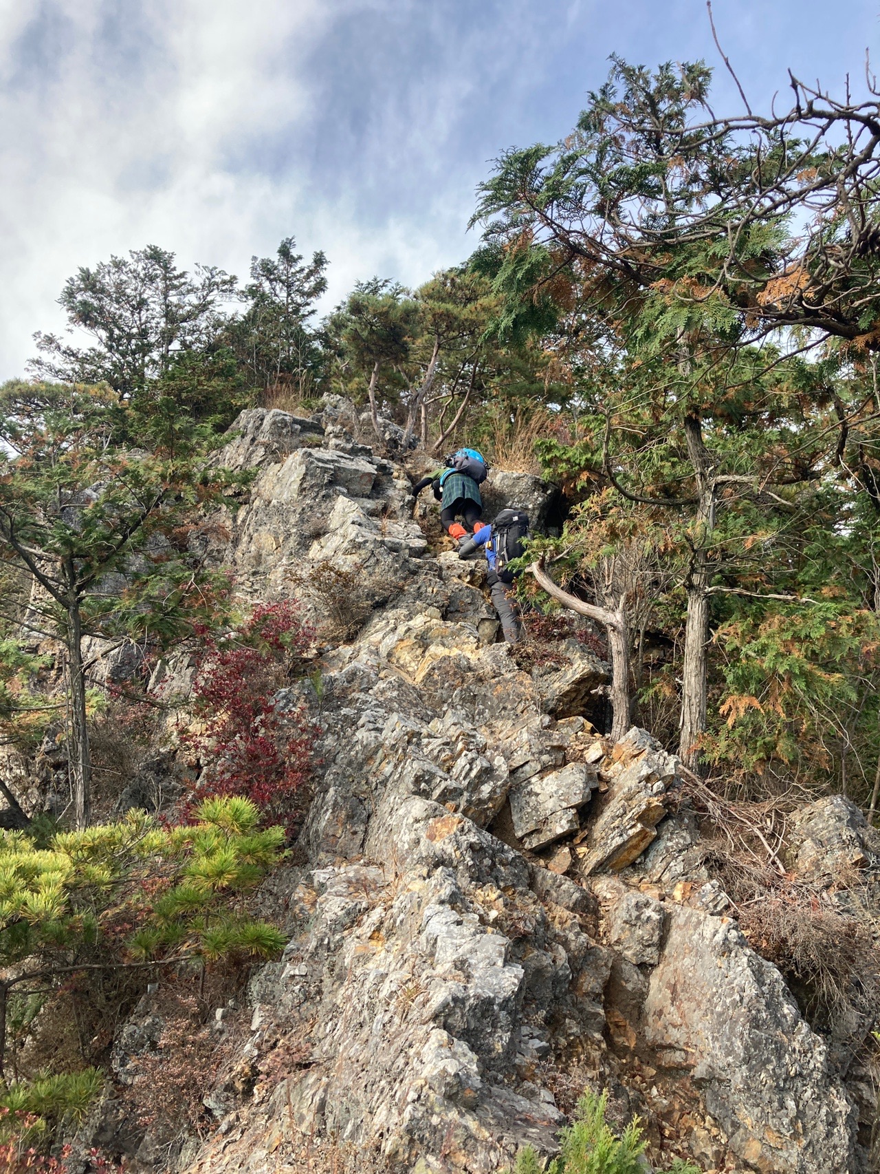 鞍掛山 古賀志山 フォローワーさんと賑やか陽だまりハイク Papeさんの古賀志山 赤岩山 鞍掛山 男抱山 半蔵山の活動データ Yamap ヤマップ