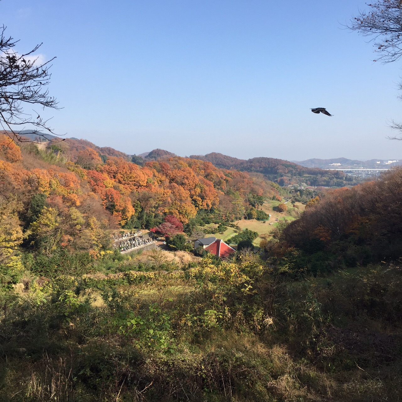 落葉の絨毯を踏みしめよう 谷戸ノ頭 萬松寺山 塔の山 ロックさんの大山の活動日記 Yamap ヤマップ