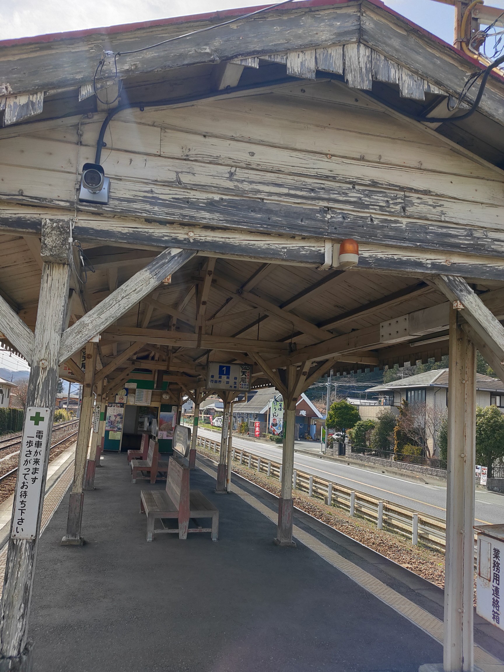 カタクリと陣見山 3 21 土 つきそらさんの宝登山 長瀞アルプス 不動山 陣見山 鐘撞堂山の活動日記 Yamap ヤマップ