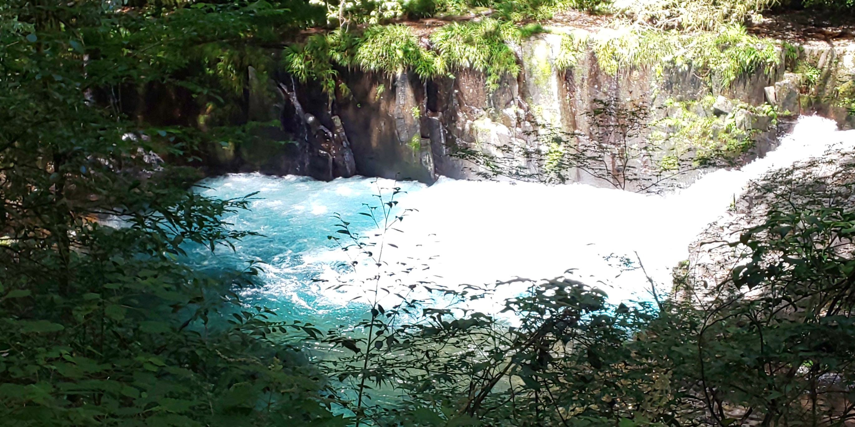 涼と花を求めて菊池渓谷へ 08 29 Jijiさんの菊池市の活動日記 Yamap ヤマップ