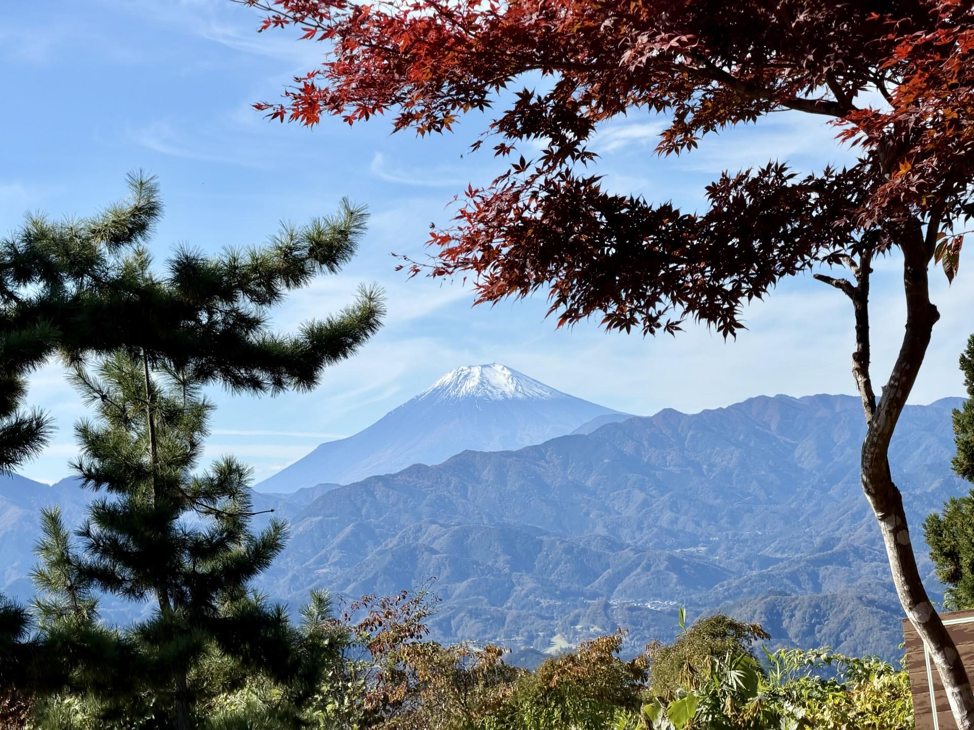 草戸山（東京,神奈川） | YAMAP / ヤマップ