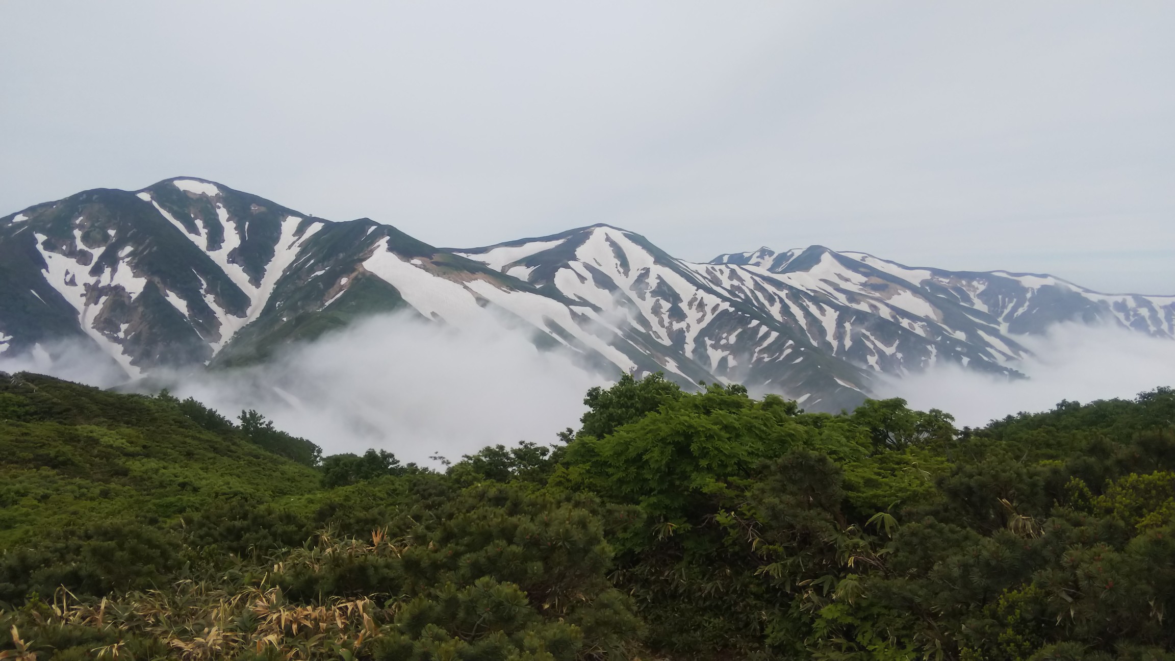 朝日連峰 大朝日岳 小朝日岳 古寺山 古寺鉱泉ピストンルート 東北遠征最終日 Shimoさんの大朝日岳 朝日連峰 祝瓶山の活動日記 Yamap ヤマップ