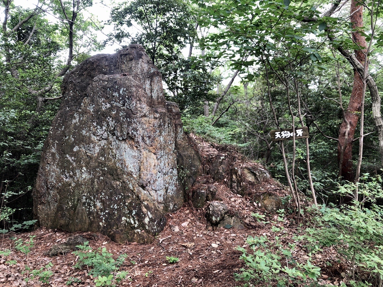 両崖山・仙人ヶ岳・石尊山 天狗の牙？