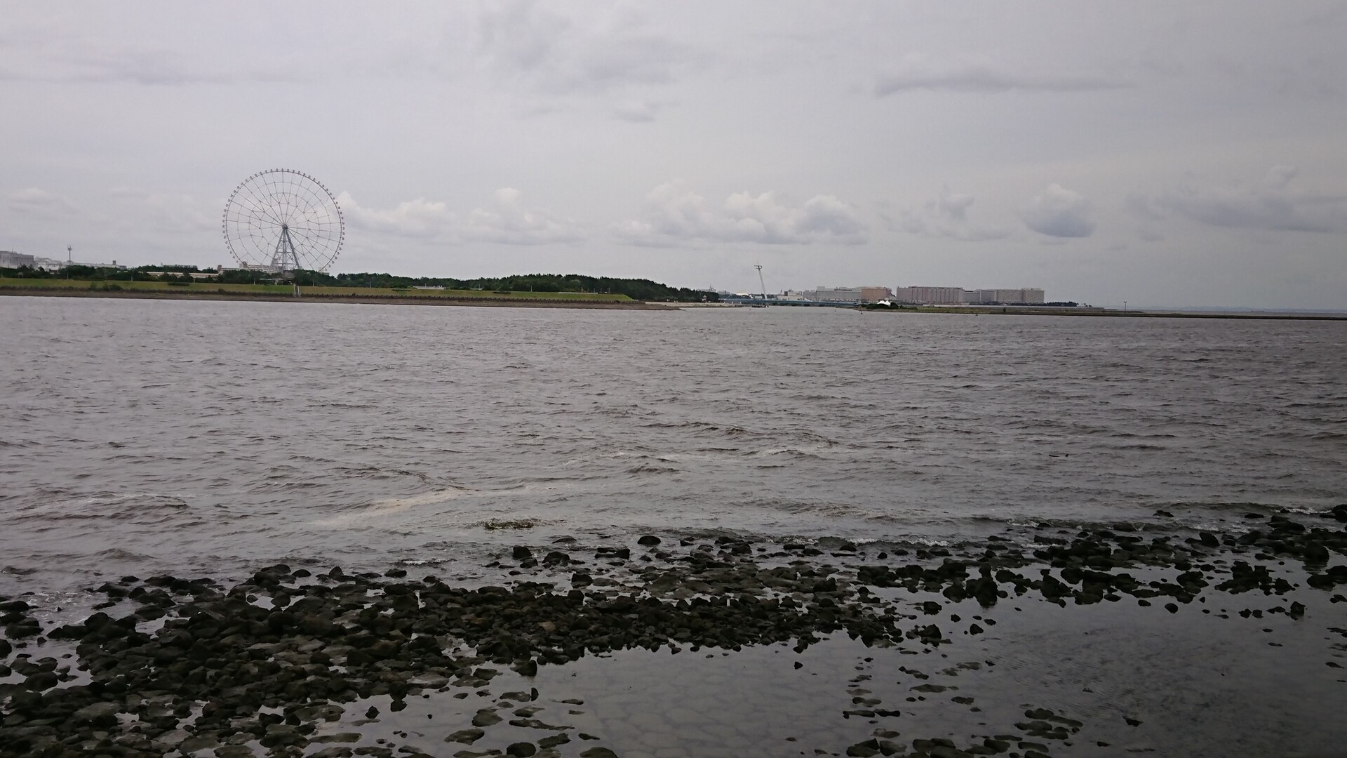 夜勤明けからの耐久run 初級 グランブルーさんの東京都23区 東エリアの活動日記 Yamap ヤマップ