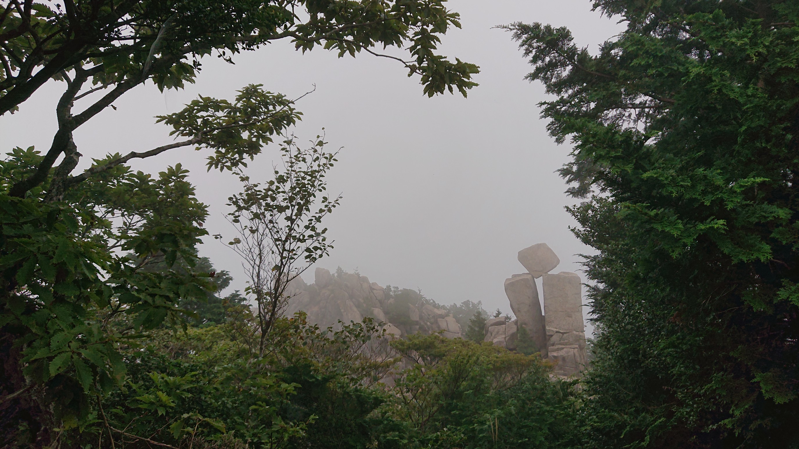 御在所岳 天気悪ぅ まっちゃんさんの御在所岳 御在所山 雨乞岳の活動データ Yamap ヤマップ