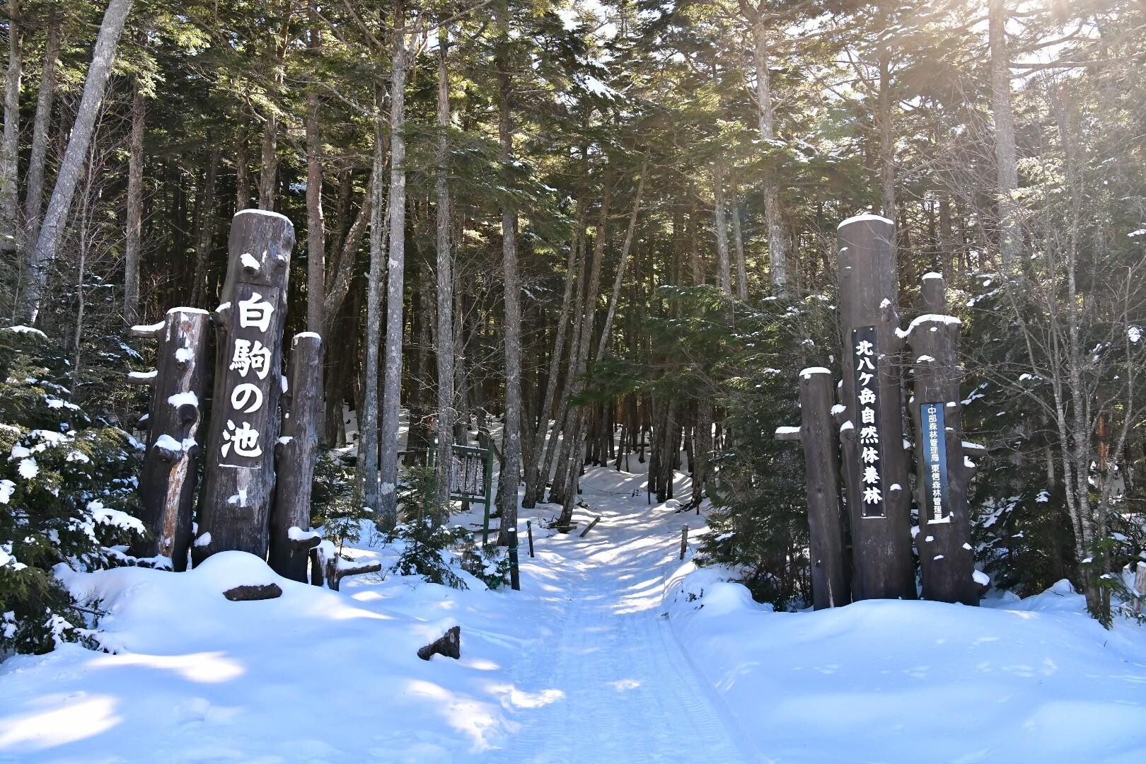 ❄️-18℃の極寒快晴の北八ヶ岳を独り占め✨-2023-01-21の写真