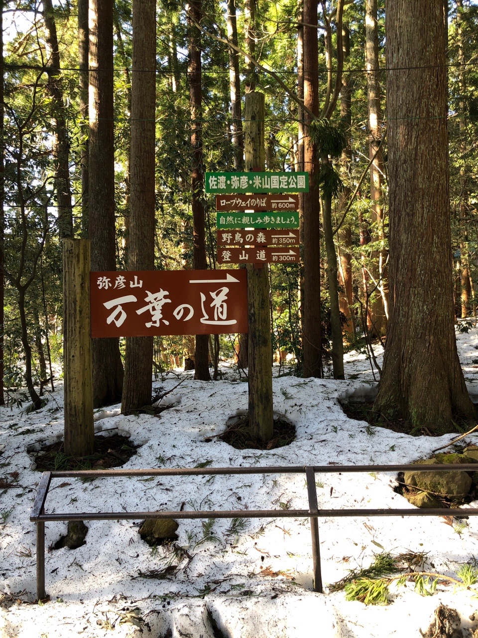 弥彦山 リッキーさんの弥彦山 多宝山 雨乞山の活動データ Yamap ヤマップ