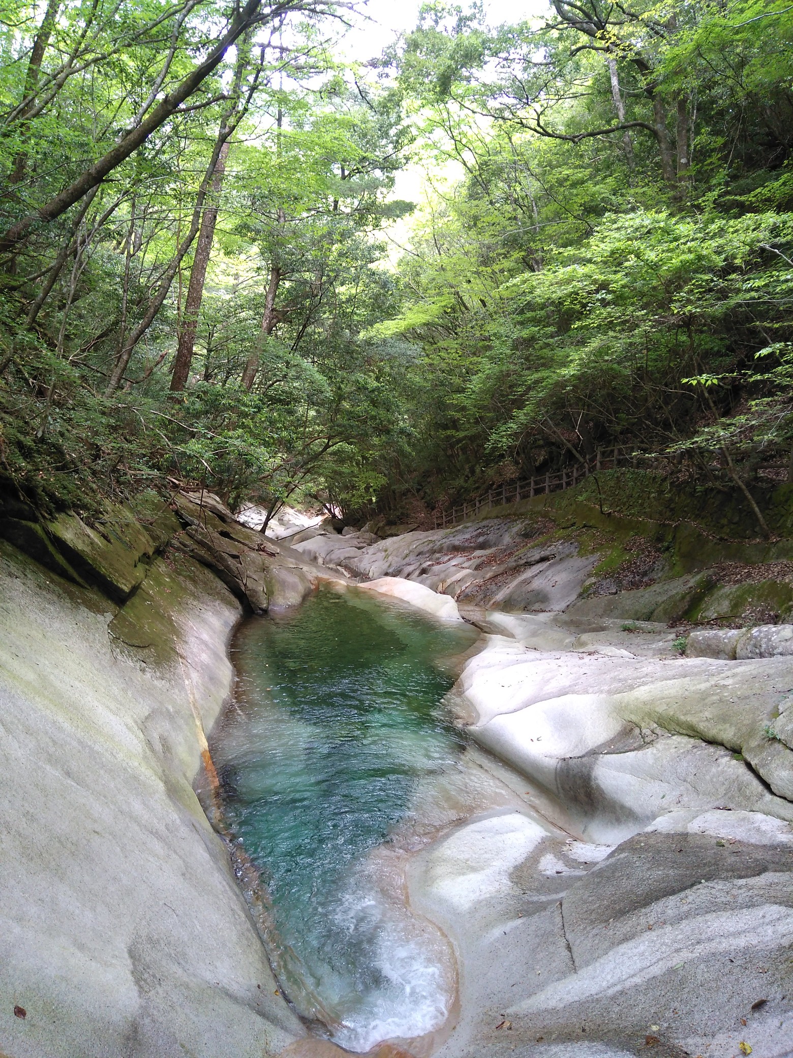 夏木山 藤河内渓谷八景 19 05 06 Marimariさんの田原山 鋸山 の活動データ Yamap ヤマップ