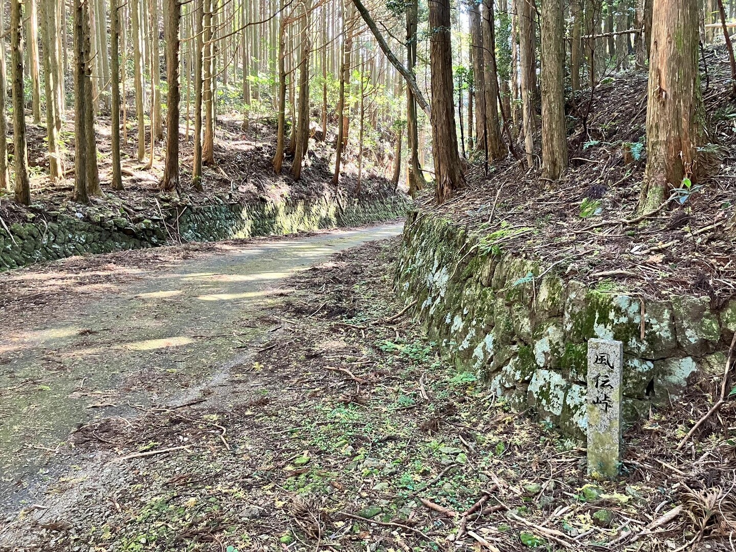 風伝峠(熊野古道 伊勢路①) / ろいひーさんの熊野古道 中辺路②（新宮駅〜熊野本宮大社）の活動データ YAMAP / ヤマップ