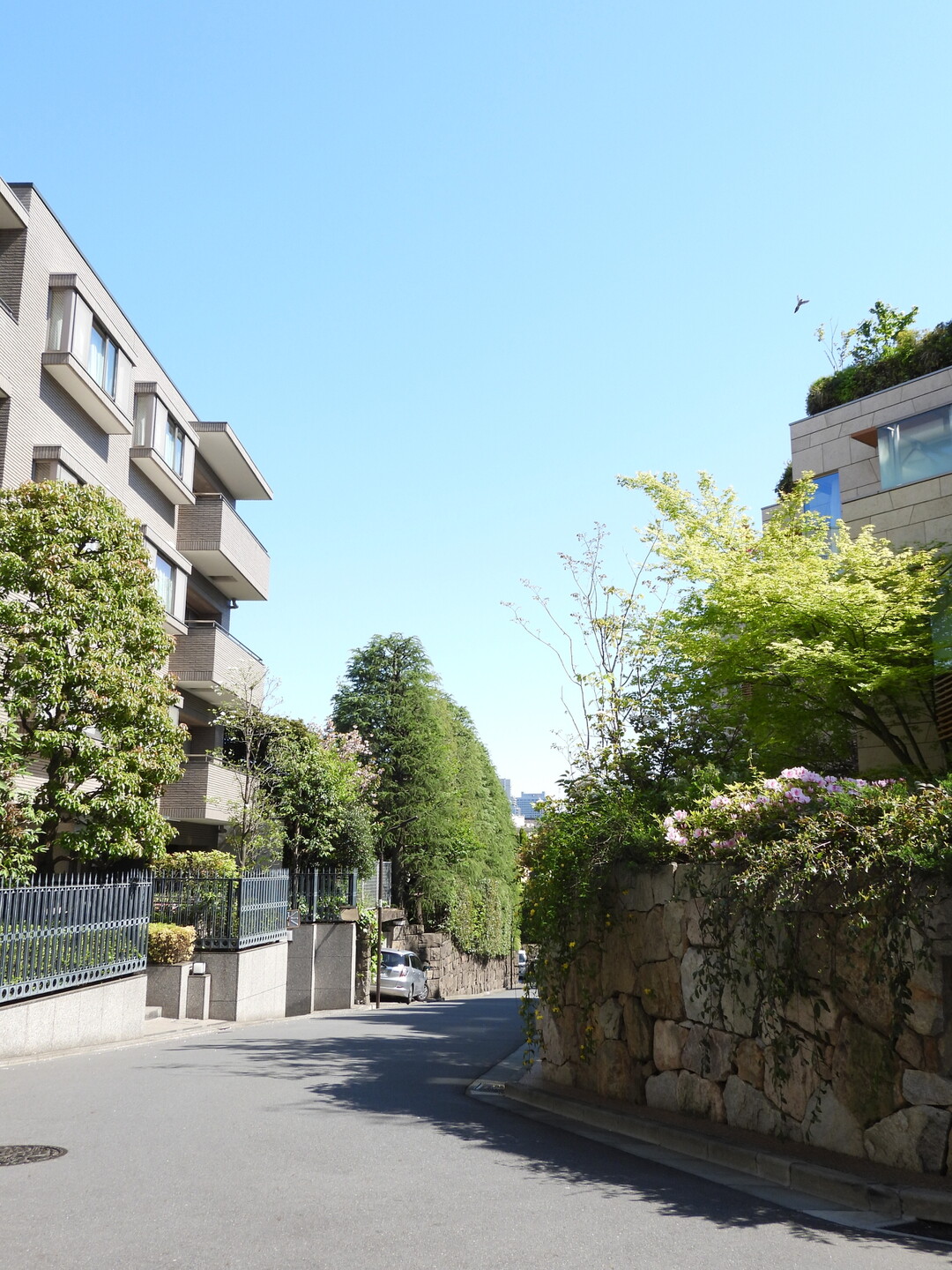 麻布 坂めぐり 東京都23区 南エリアの写真27枚目 元麻布の高級住宅街 Yamap ヤマップ