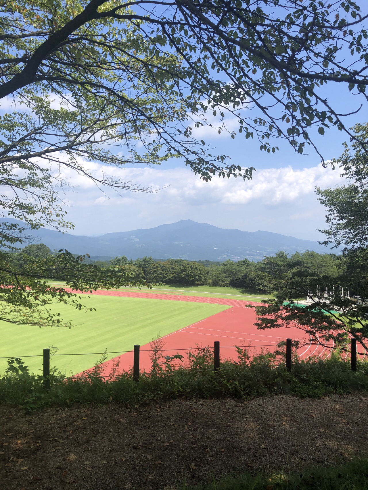 渋川市総合公園クロスカントリー トレラン コースを歩く ぽんちゃんマンさんの榛名山 天狗山 天目山の活動データ Yamap ヤマップ