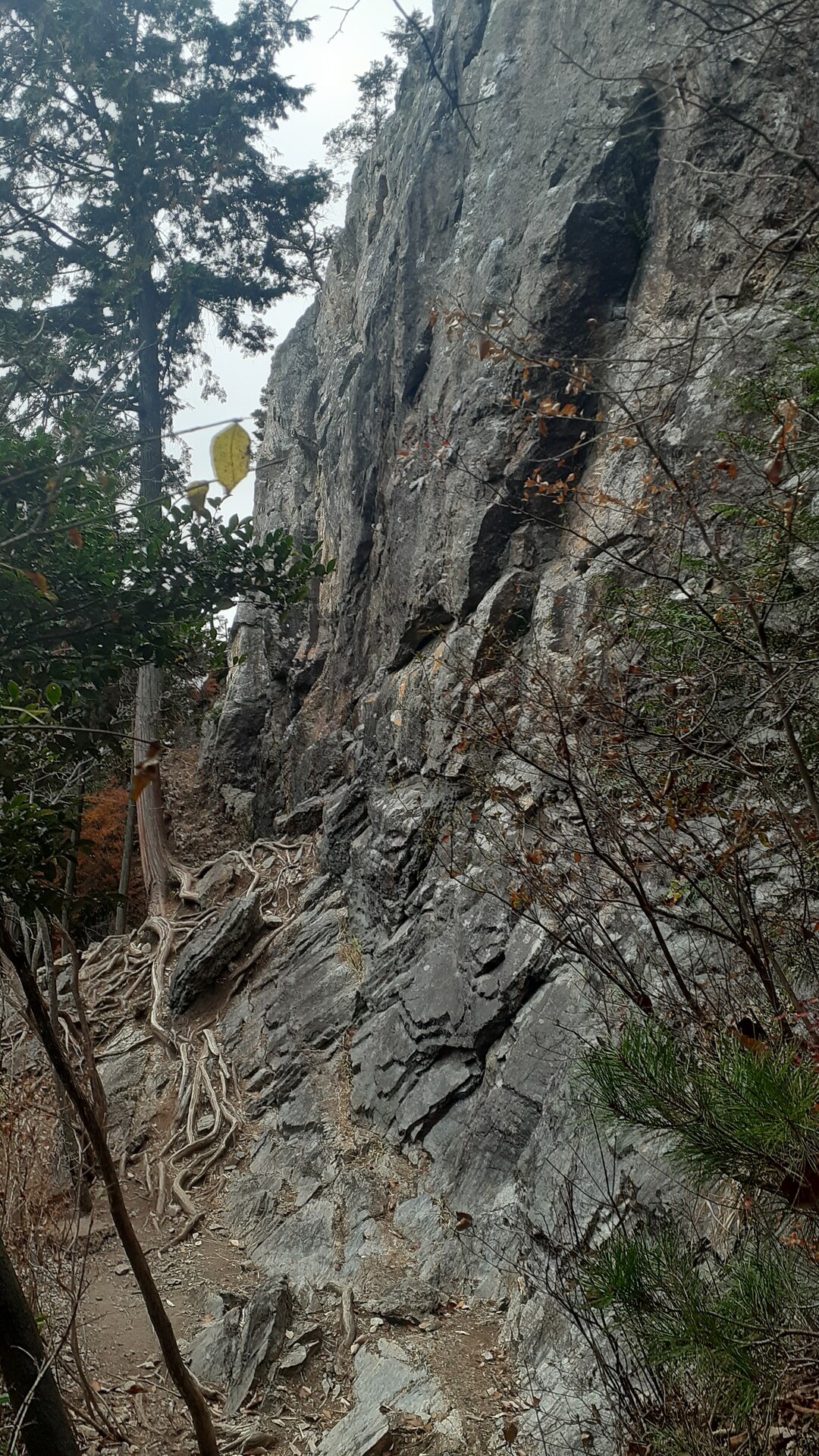 カモシカ岩からのマラ岩 ベジータの左肩さんの古賀志山 赤岩山 鞍掛山 男抱山 半蔵山の活動日記 Yamap ヤマップ