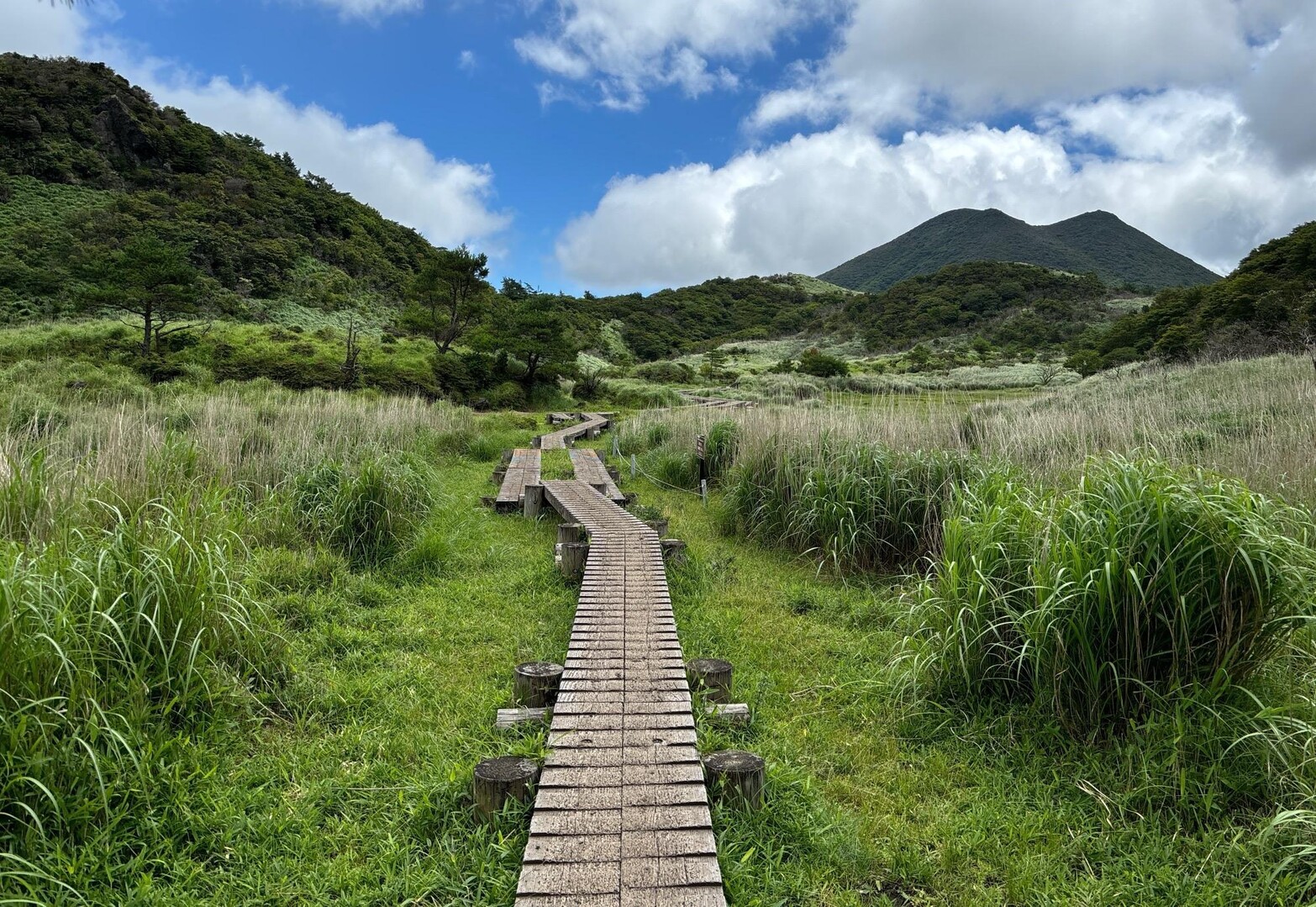 九州自然歩道 くじゅう坊ガツルコース / あいみさんの九重山（久住山）・大船山・星生山の活動データ | YAMAP / ヤマップ