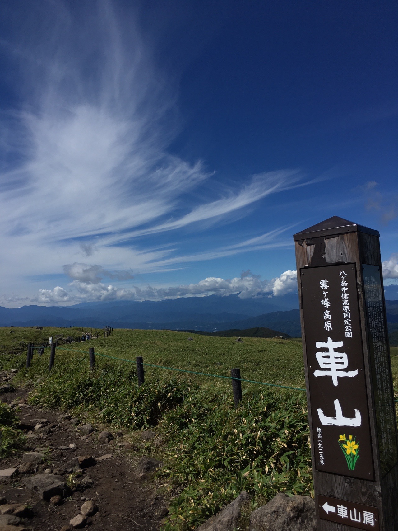 霧ヶ峰 車山 快晴の空と白樺先生 やまおじさんさんの霧ヶ峰 車山 大笹峰の活動データ Yamap ヤマップ