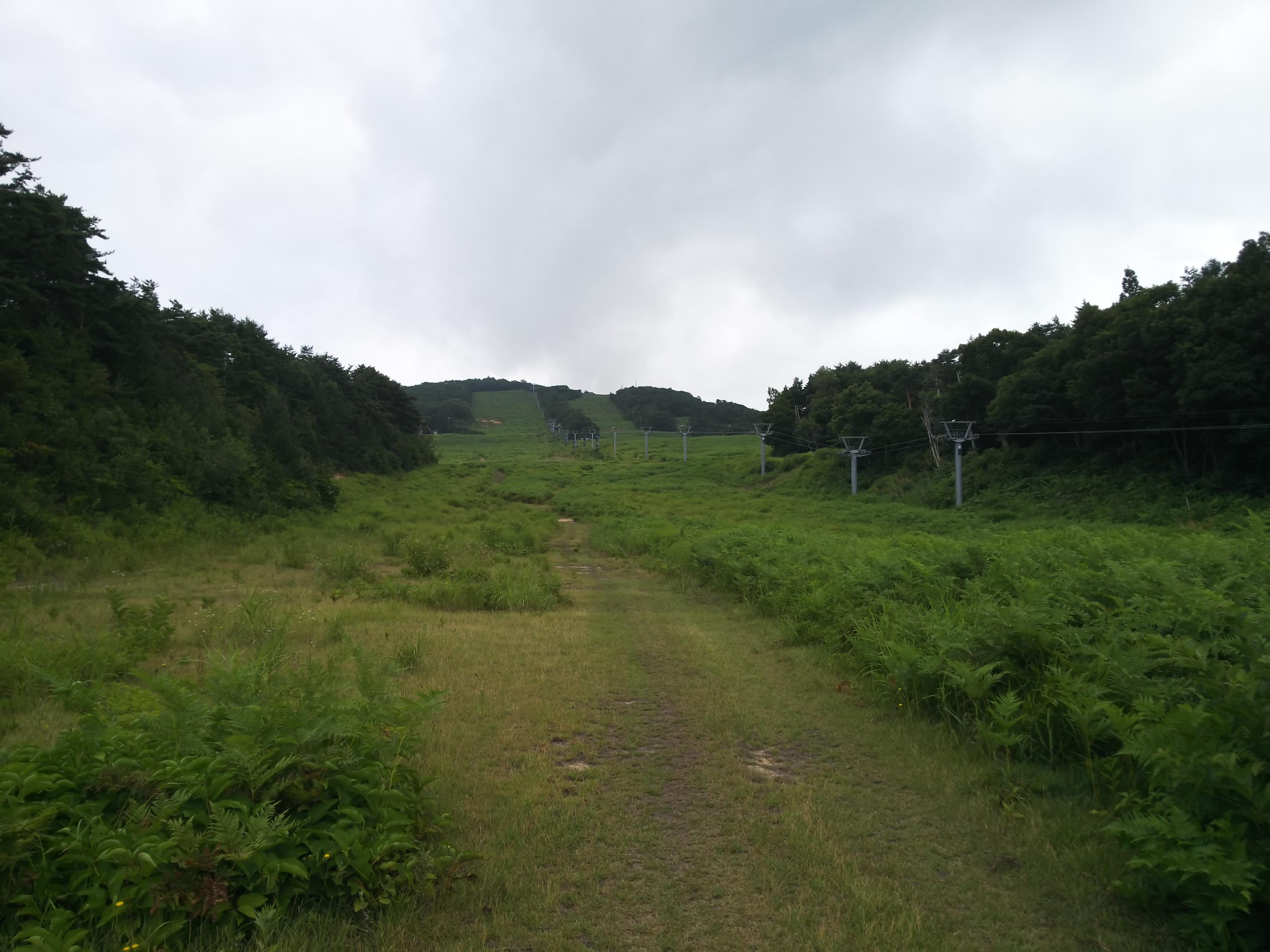 Ski resort in summer 高社山 / M.T.windingさんの高社山（高井富士）の活動データ | YAMAP / ヤマップ