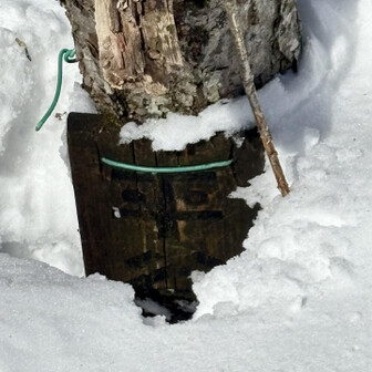 取立山 平谷ノ頭