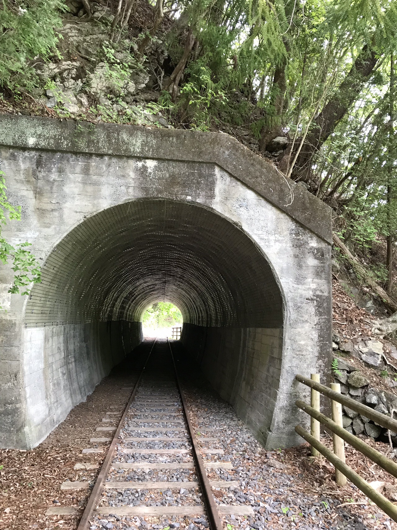 金谷から井川ダム 井川本村へ ずおずおむさんの天狗石山 静岡県 七ツ峰 智者山の活動日記 Yamap ヤマップ