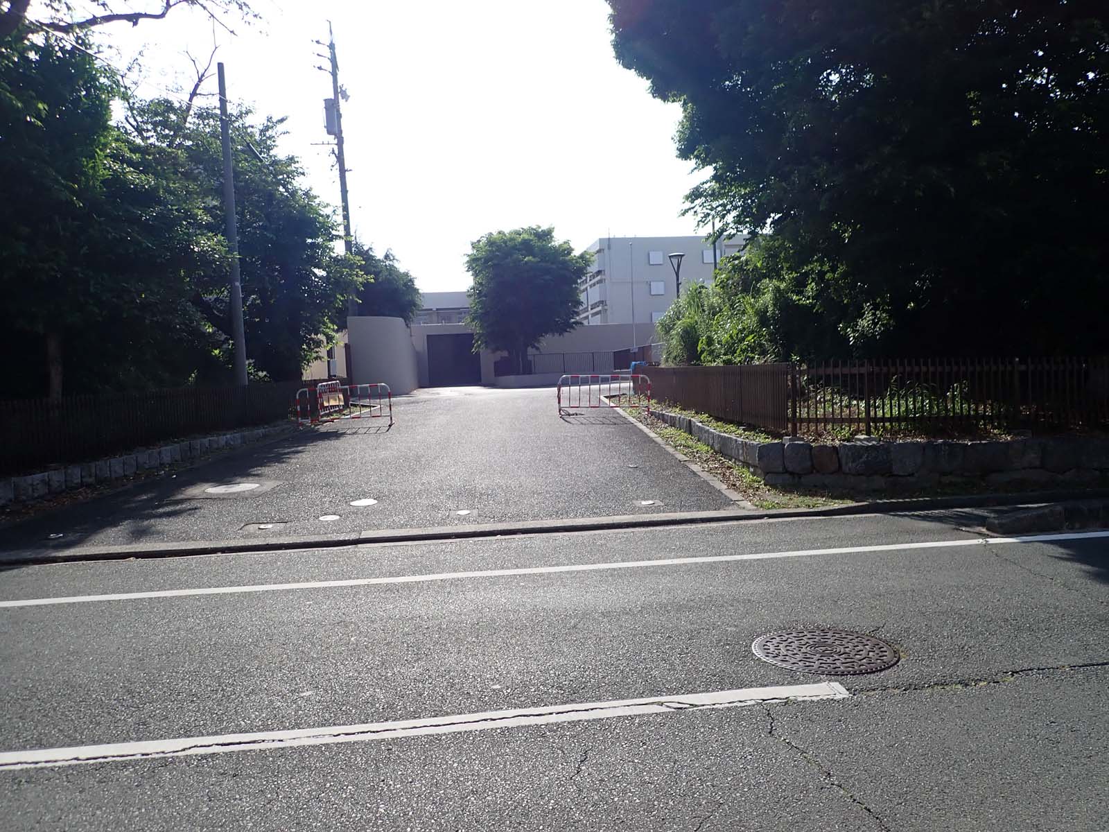 初夏の朝倉川沿いを歩く はらっちさんの湖西連峰 石巻山 坊ヶ峰の活動日記 Yamap ヤマップ