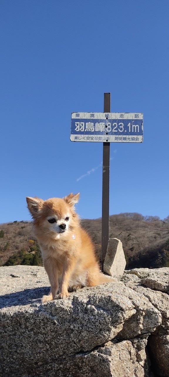 釈迦ヶ岳 まめたくんは撮影時にちゃんとお座りできる子✨✨
