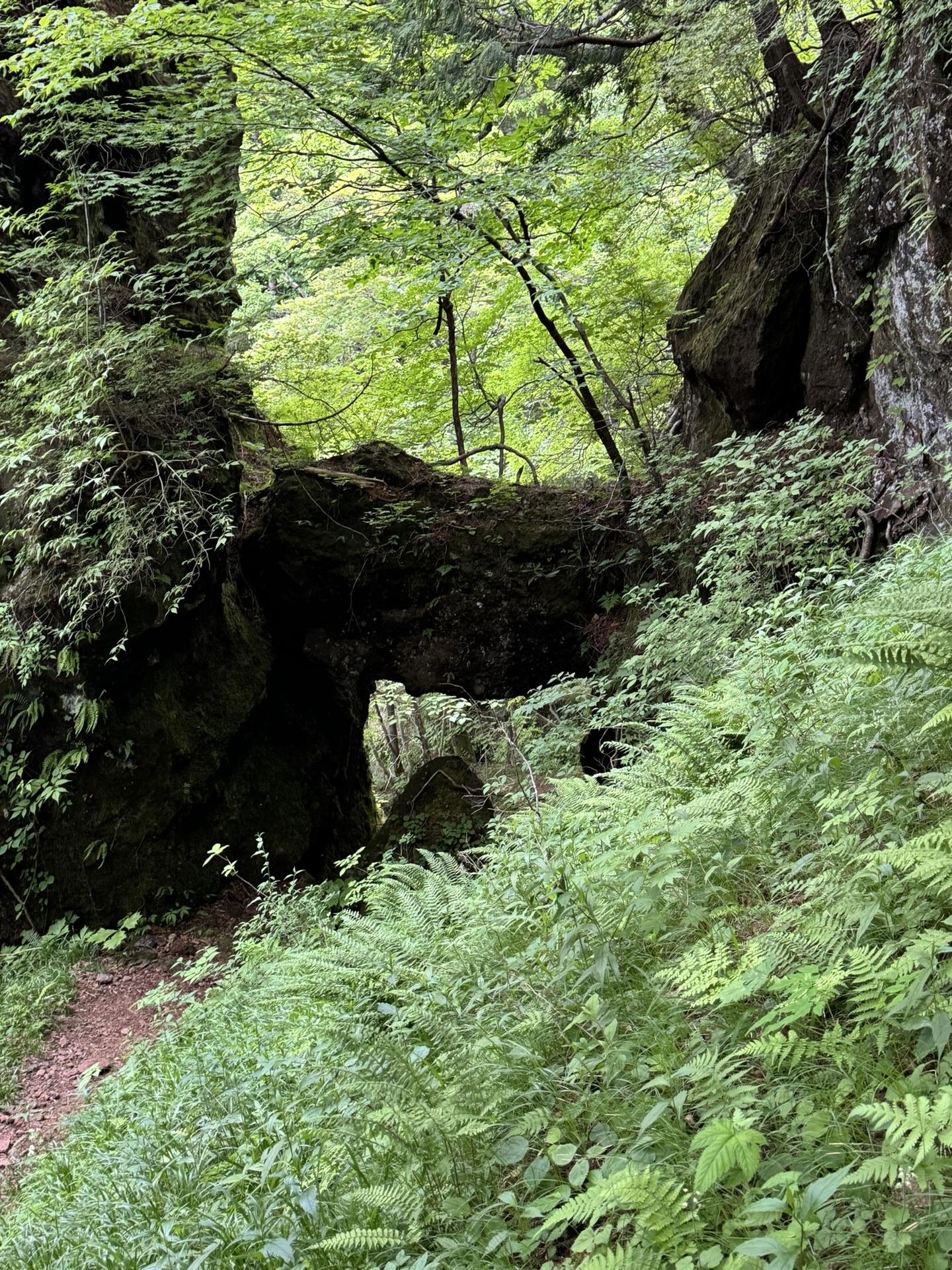 皇海山・袈裟丸山・庚申山 岩で出来た門までおりてきました。