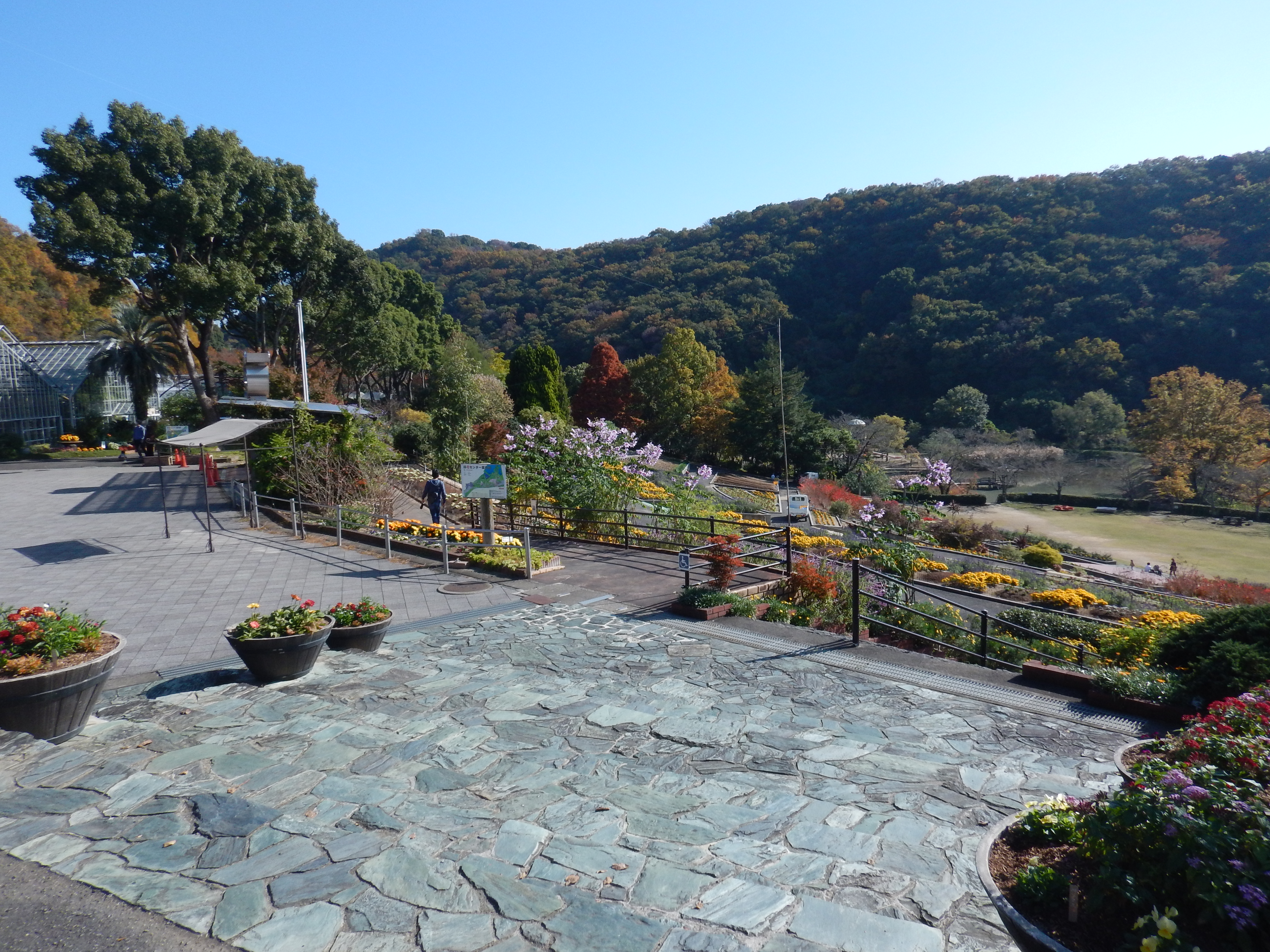 自宅から和歌山県植物公園 緑花センターまでサイクリング なかむらさんの和歌山市の活動データ Yamap ヤマップ