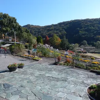 自宅から和歌山県植物公園 緑花センターまでサイクリング なかむらさんの和歌山市の活動データ Yamap ヤマップ