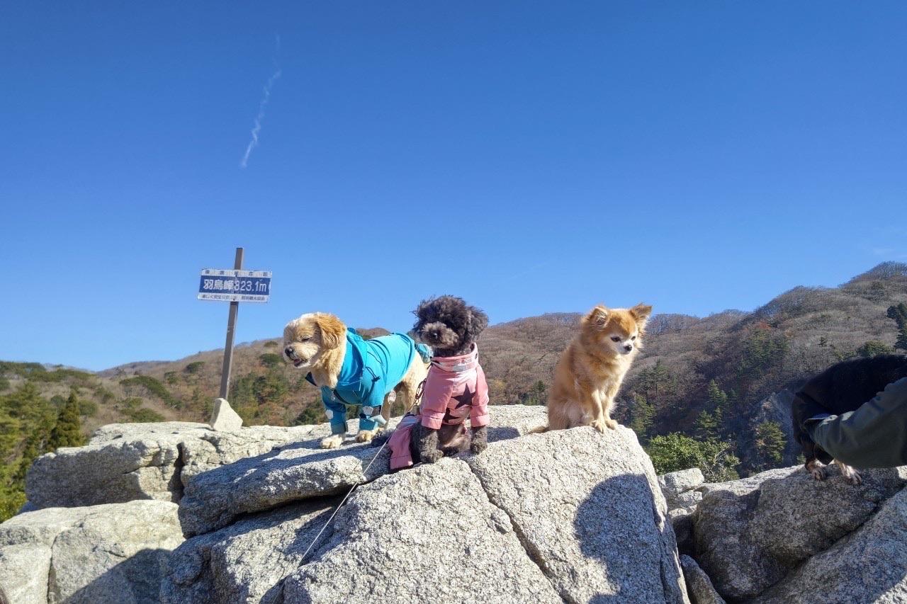 釈迦ヶ岳 みんな、おりこうさん❤️