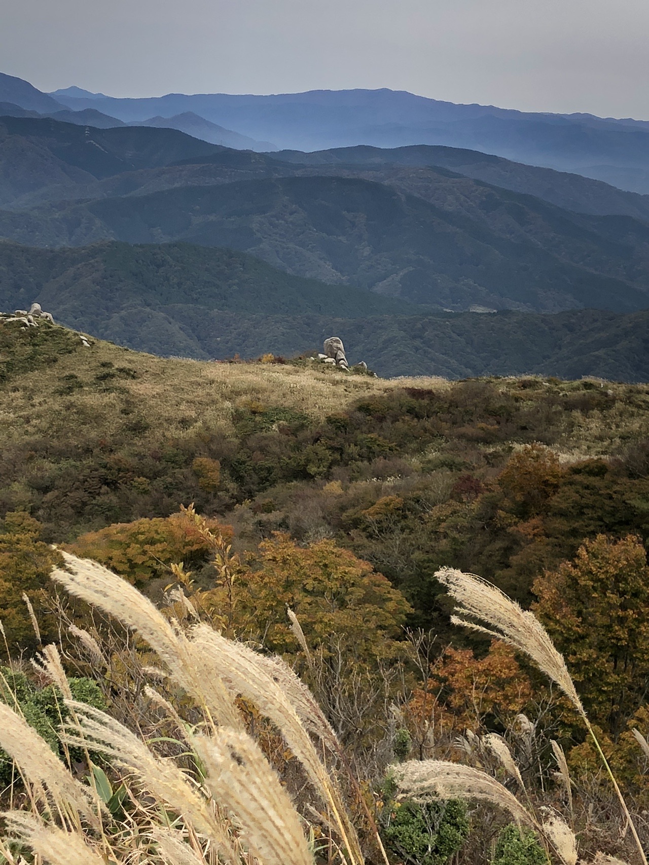 木と山と緑の平原の写真 画像素材 1395068 Snapmart スナップマート