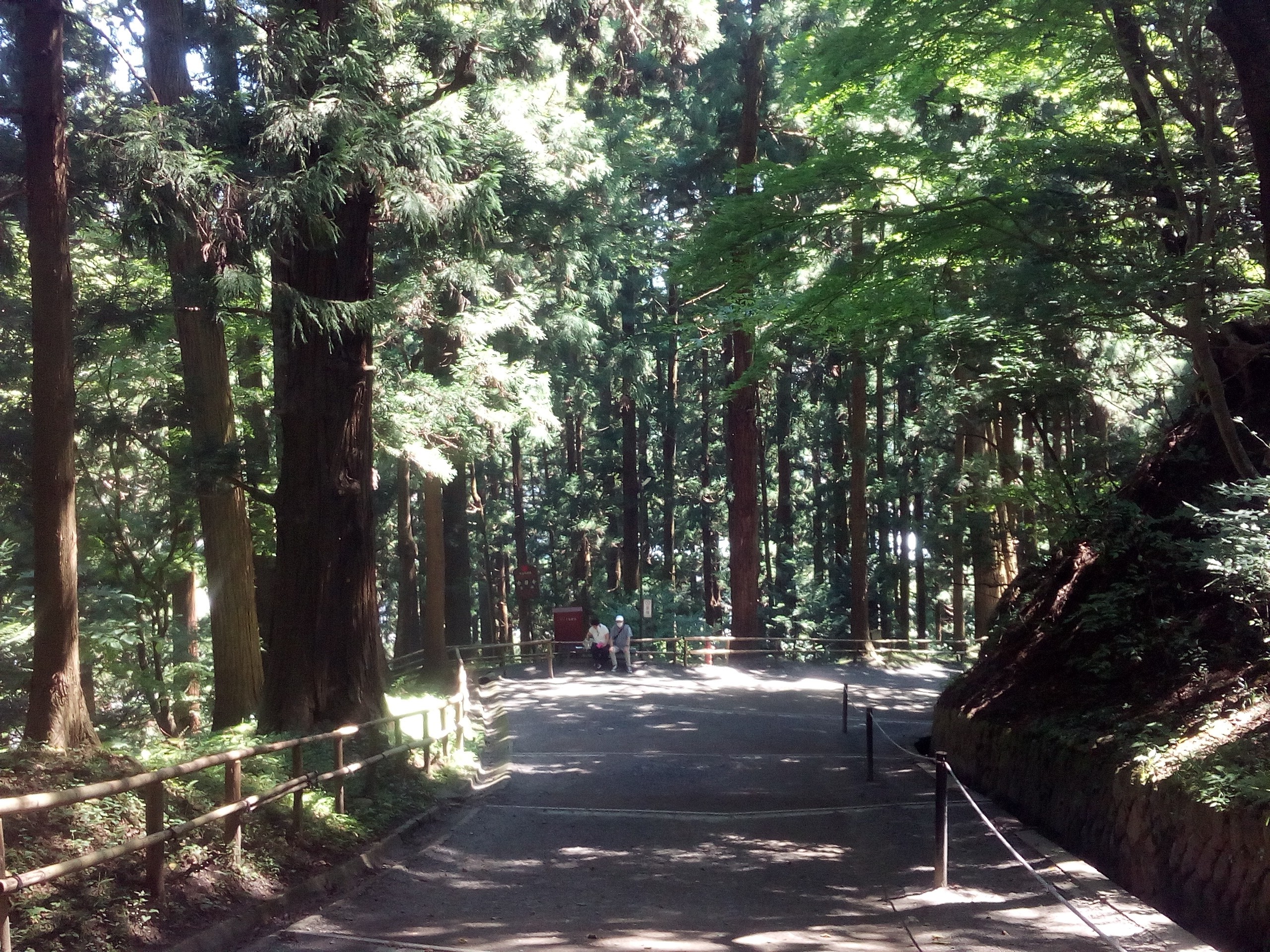 中尊寺 月見坂 往復 ｉｎｔ いちのせきニューツーリズム協議会さんの奥州市 南エリアの活動データ Yamap ヤマップ