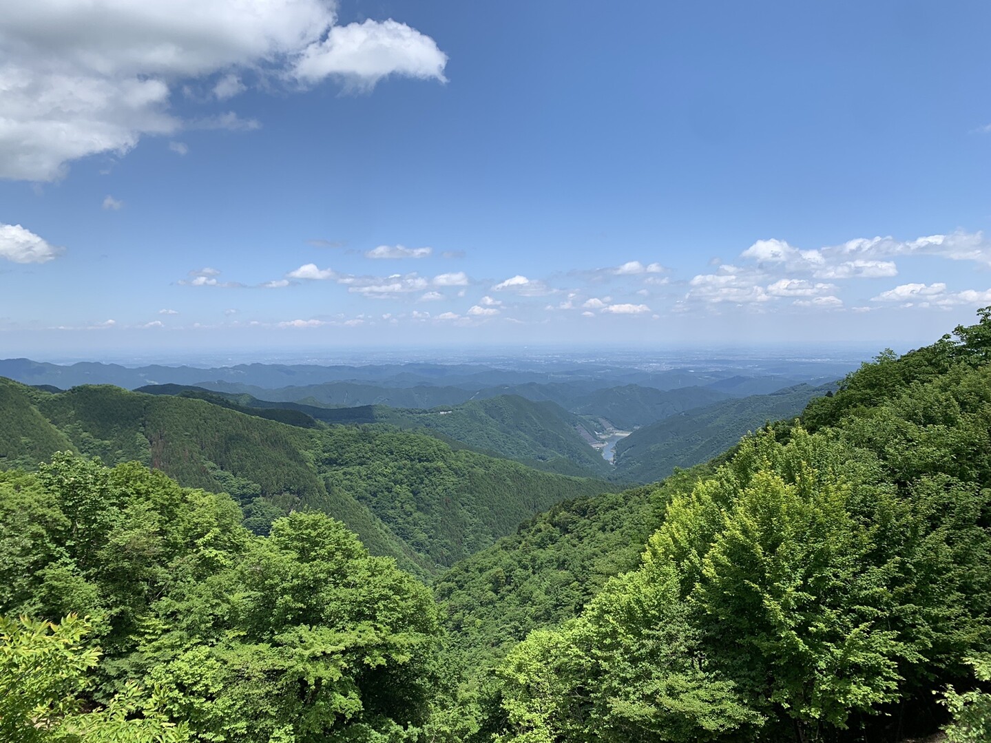 さわらびの湯バス停 蕨山 有間山 川苔山 鳩ノ巣駅 チヌさんの武甲山 伊豆ヶ岳 小持山の活動データ Yamap ヤマップ