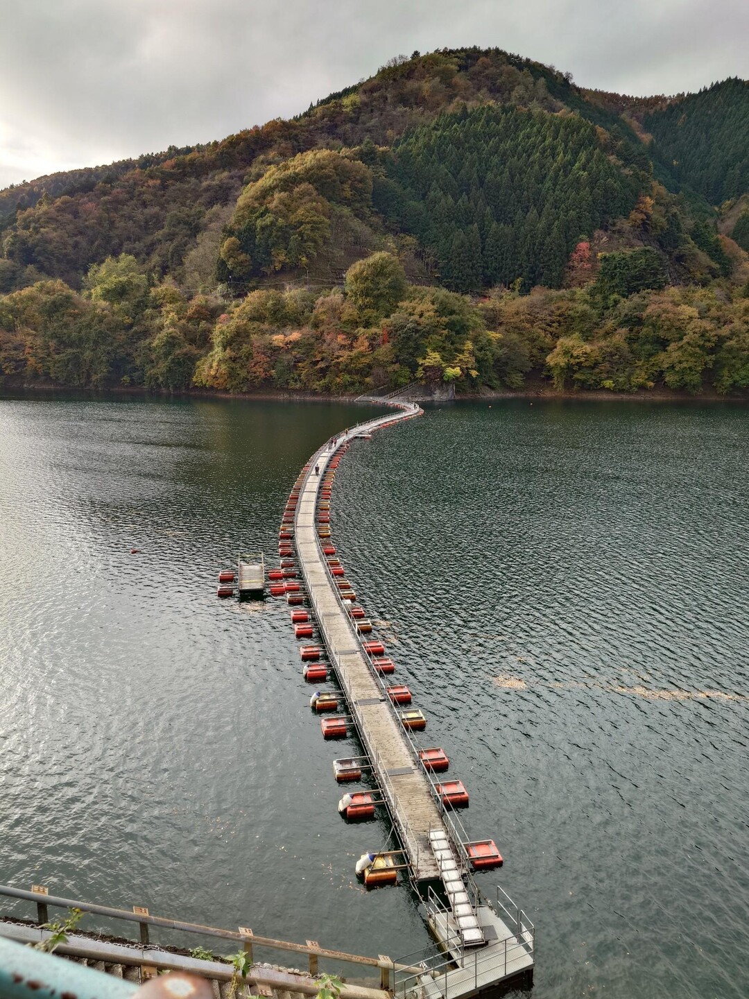 奥多摩（浮き橋からの三頭山（西峰・中央峰・東峰） / ミヤビンさんの三頭山・槇寄山・土俵岳の活動データ | YAMAP / ヤマップ
