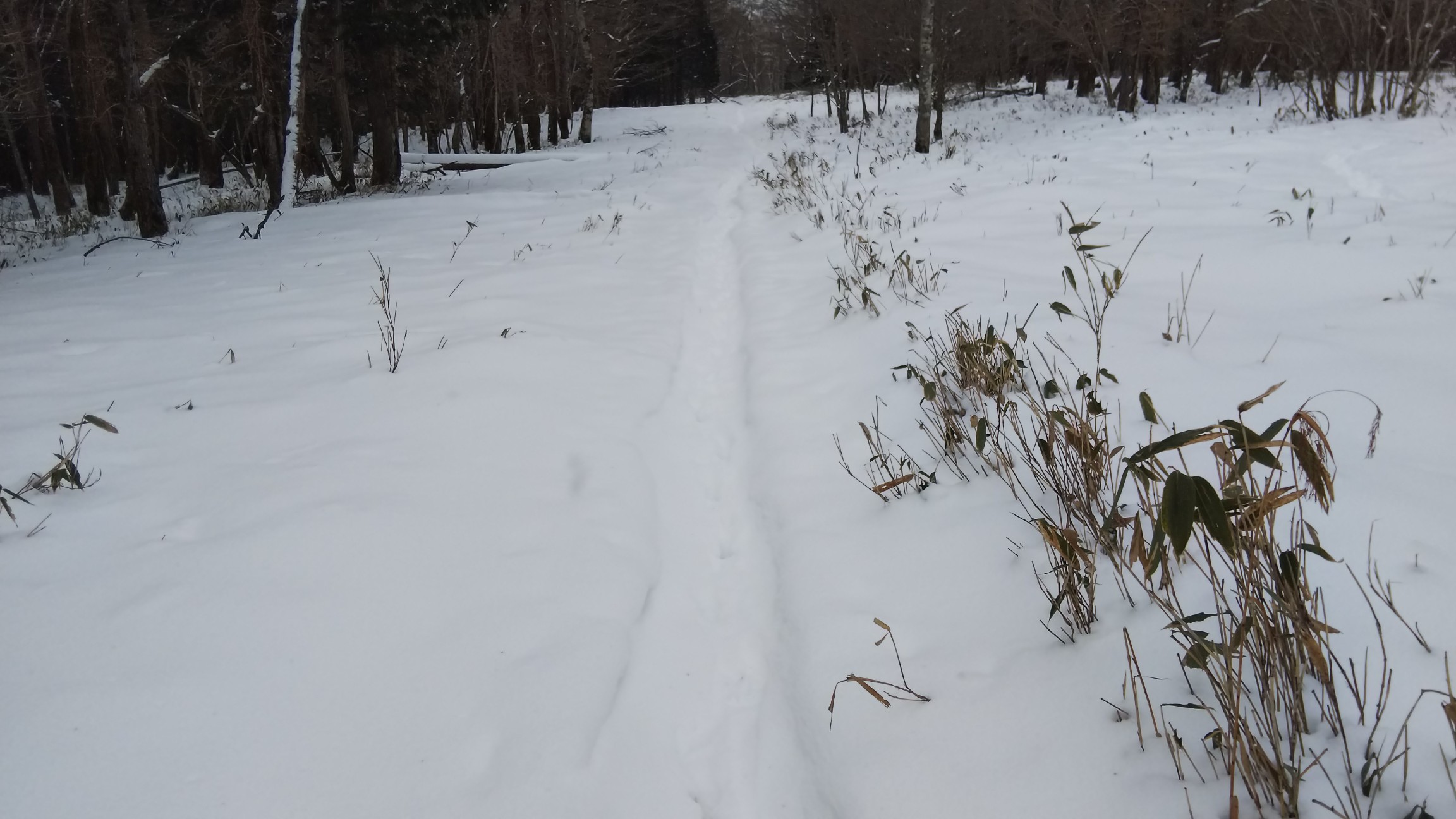 先ほどのノントレースよりはずっと楽です😆🎵🎵