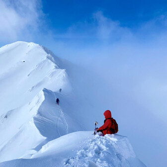 壹只流浪的小野貓