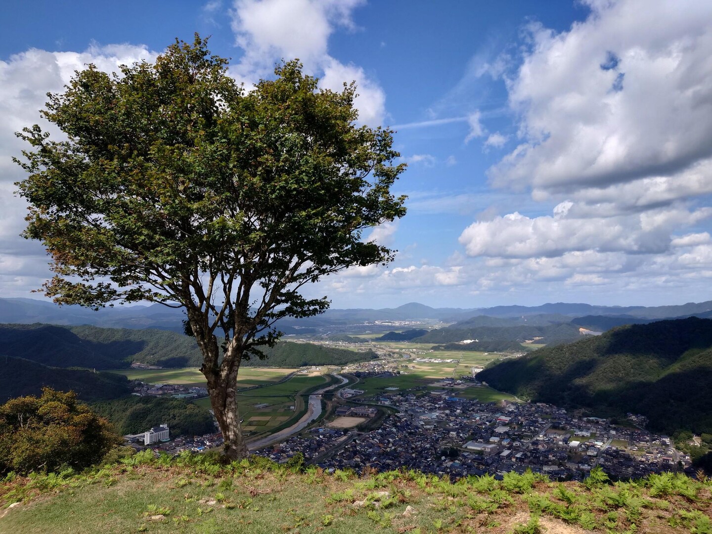 有子山城 / あわけんさんの城山・有子山城跡の活動データ YAMAP / ヤマップ