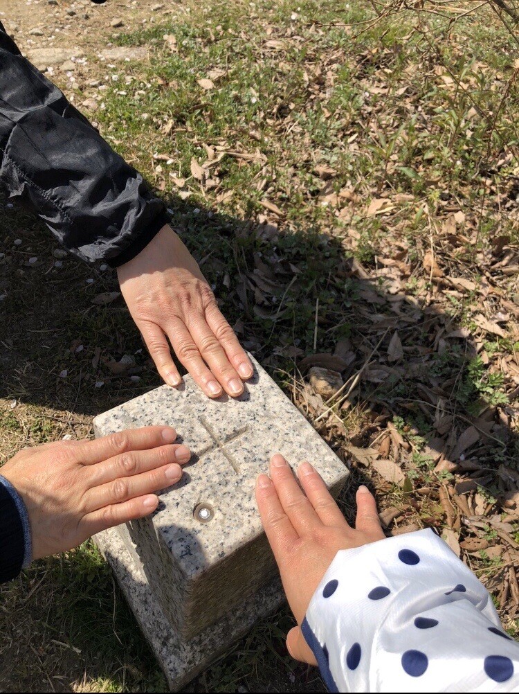 桜満開の二上山 雌岳 ろくわたりの道 冒険 04 07 Yokoさんの金剛山 二上山 大和葛城山の活動データ Yamap ヤマップ