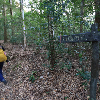 行縢山 登山開始
腐葉土や、木の根の道に