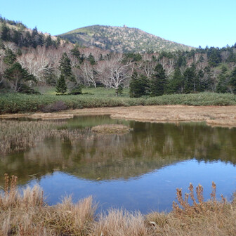高山の原生林を守る会