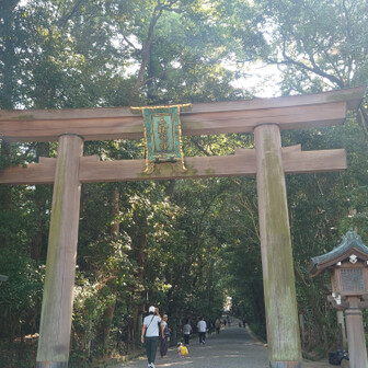 carp_kk42