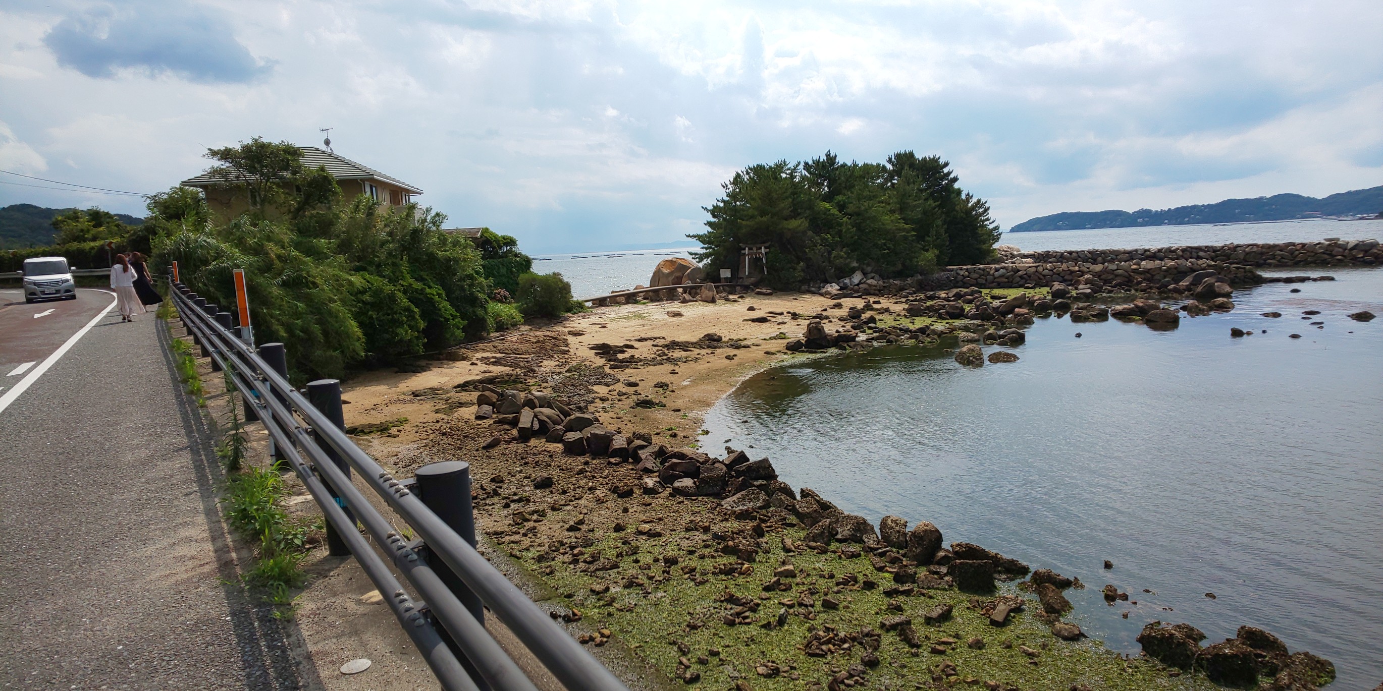 ハマボウと箱島 21 07 11 Jijiさんの 公式 福岡市 防災情報含む の活動日記 Yamap ヤマップ