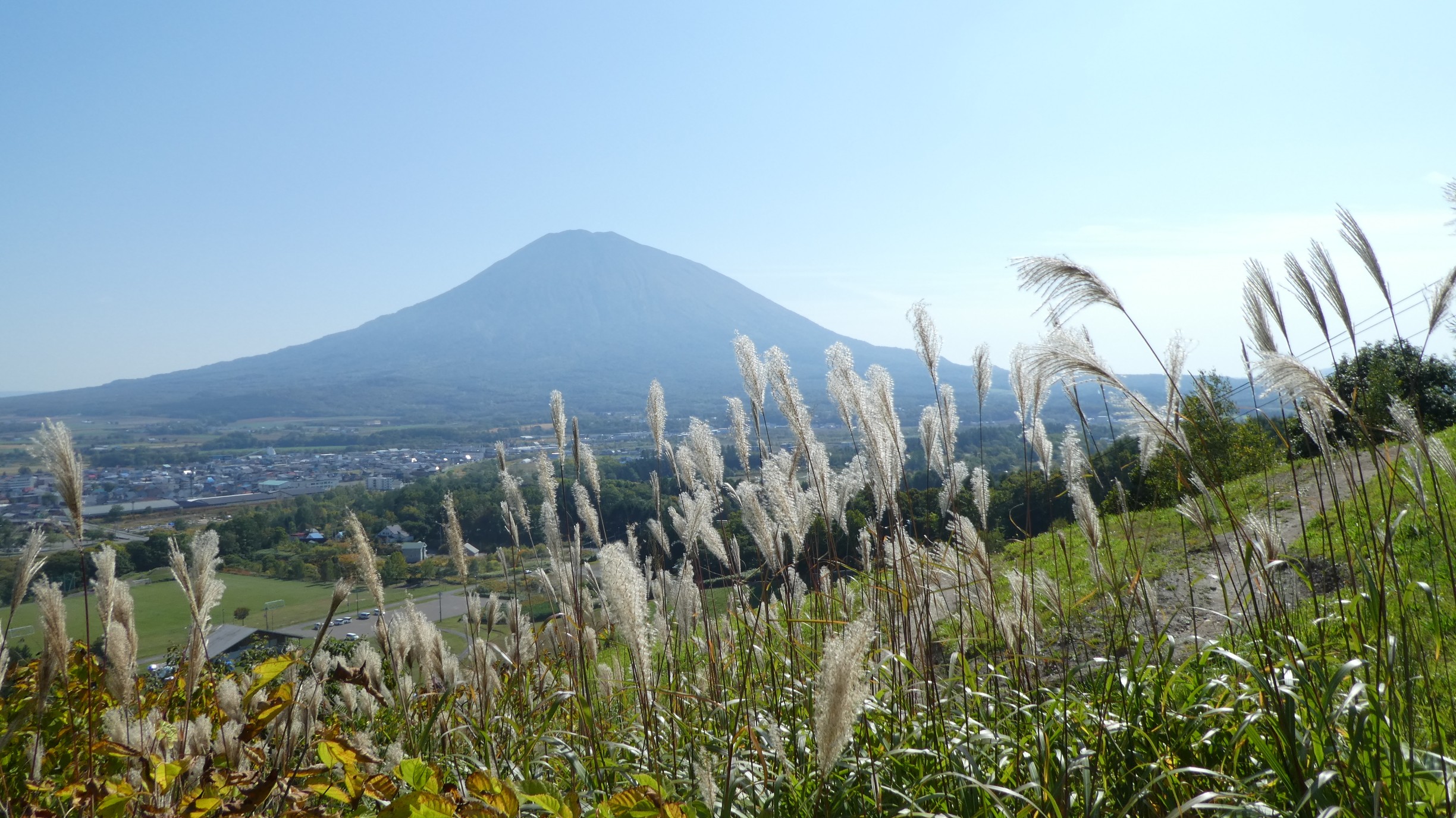 小黒山 ニセコマイナー峰めぐり 羊蹄山ドーン エゾリーも ね Yamap ヤマップ