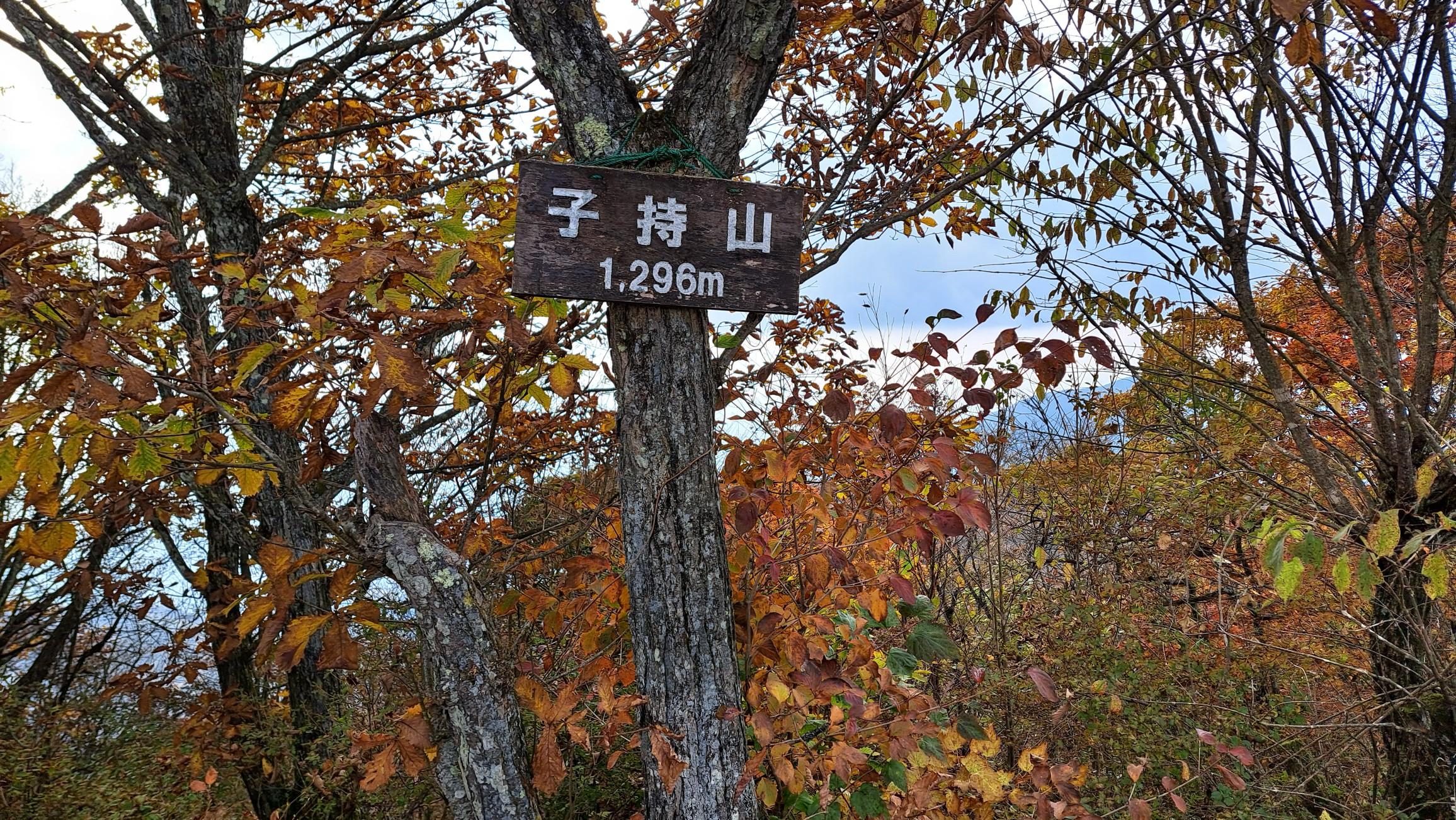 山頂はゆったり広い