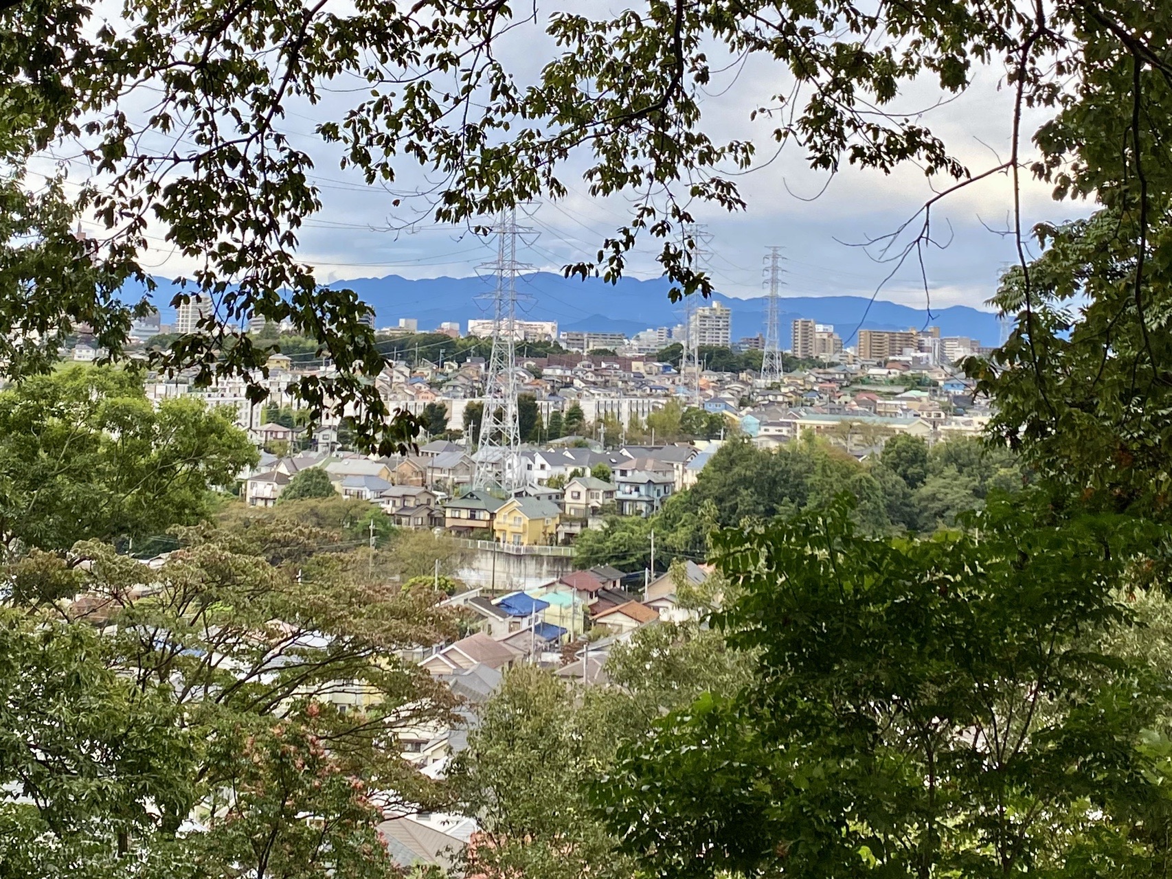 町田の里山めぐり かしの木山 日向山 七国山 さんたろさんのウォーキングの活動データ Yamap ヤマップ